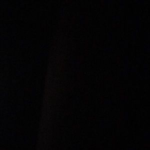 Meet your Posher, Evie